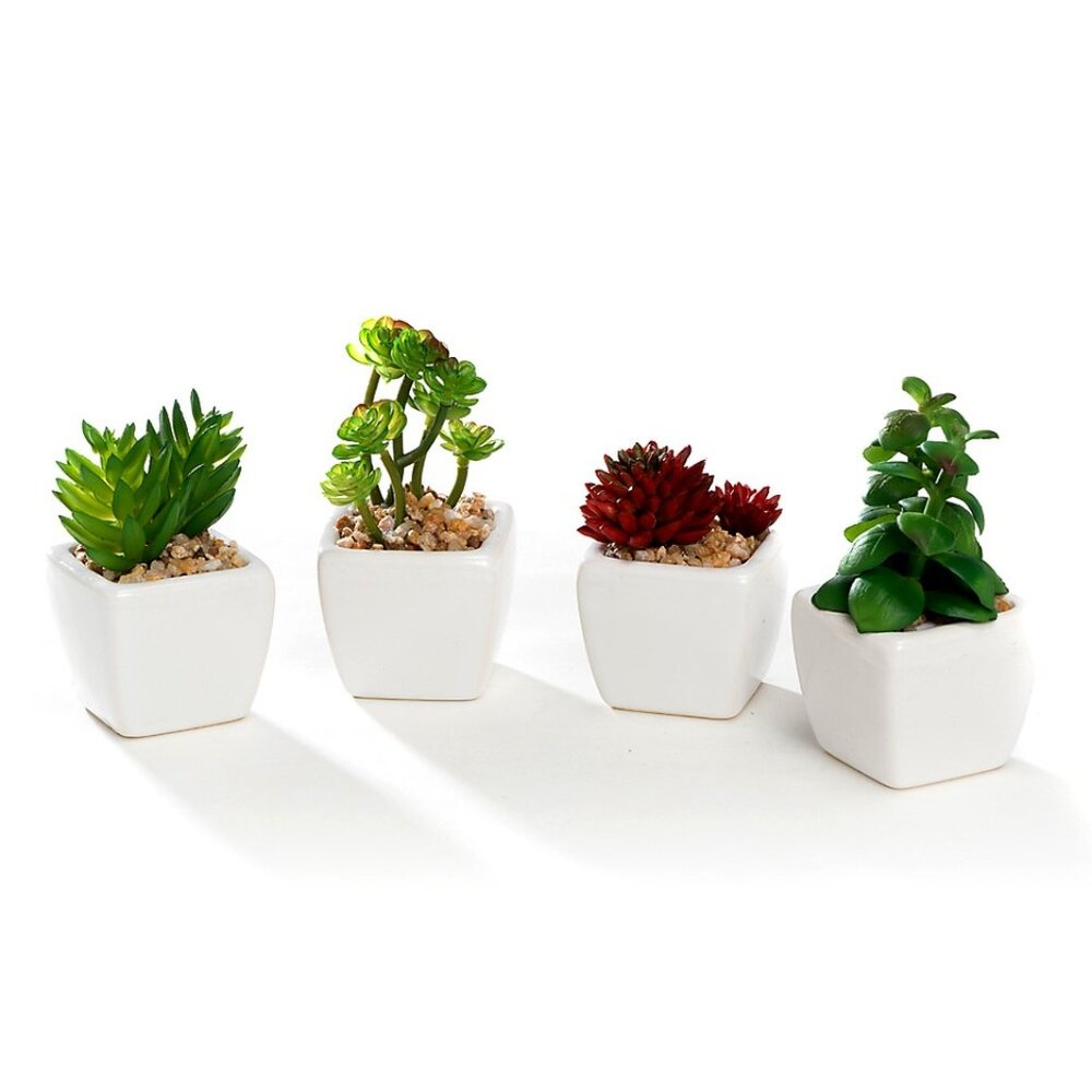 Set of 4 Different Mini Artificial Succulent Plants Potted in White